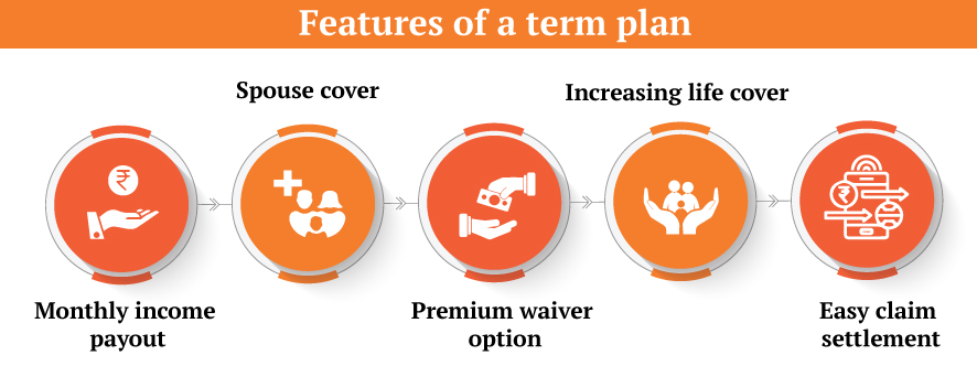 Features of term insurance plan