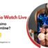 Where To Watch Live Dealer Casino Streams Online?